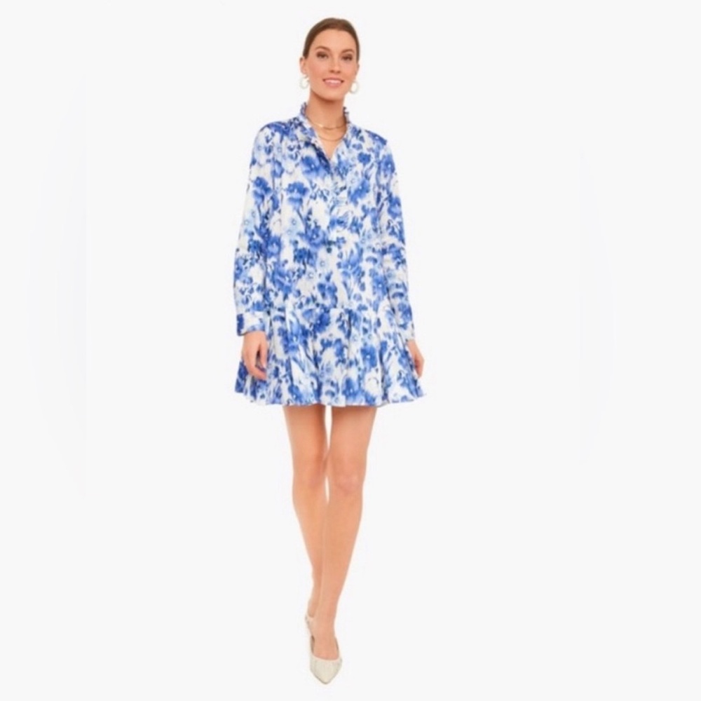 Tuckernuck Ivory Blue Iris Breeze Tate Long Sleeve Button Down Mini Dress XS